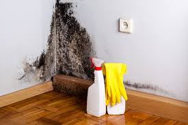 Best Mold Documentation for Insurance Claims  in Santa Maria, CA